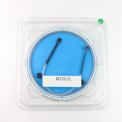 SM PM Fiber 2/8/16/32 CH Multi-channel Optical Fiber Array MT-FA