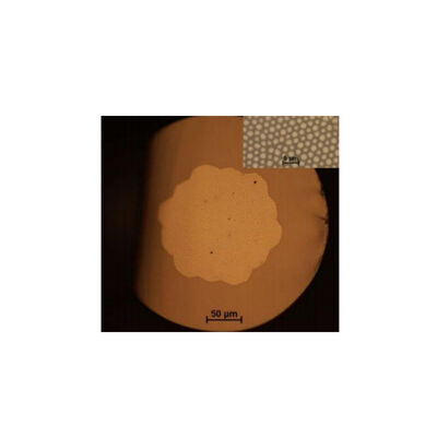 190×1250nm (UV) 300×2400nm (IR) Φύλλα ινών απεικόνισης Πολυπυρήνες: 3000×100000 Αριθμητικό άνοιγμα (NA):>0.5