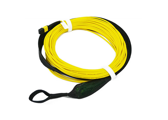 Singlemode 12 Core 2.0mm MPO Trunk Cable